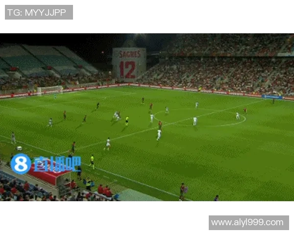 卢森堡与葡萄牙精彩对决全场录像回放及精彩瞬间分析